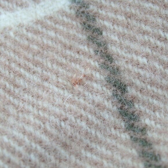 Authentic BURBERRYS blanket wool [Used] - Picture 6 of 10